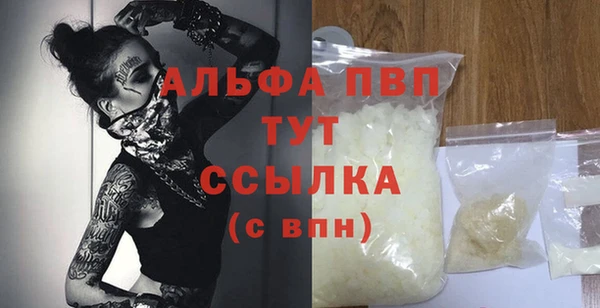 стаф Алексин