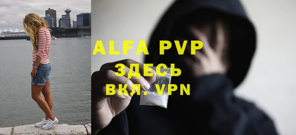 стаф Алексин