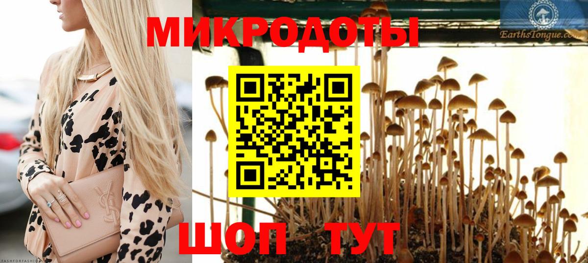 Копейск  Псилоцибиновые грибы GOLDEN TEACHER  Вход с VPN 