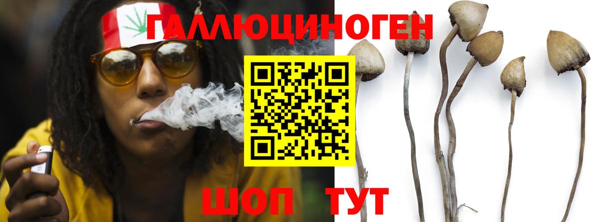 Галлюциногенные грибы мицелий Копейск